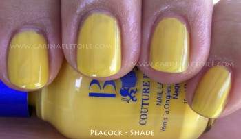 BB Couture Peacock Shade