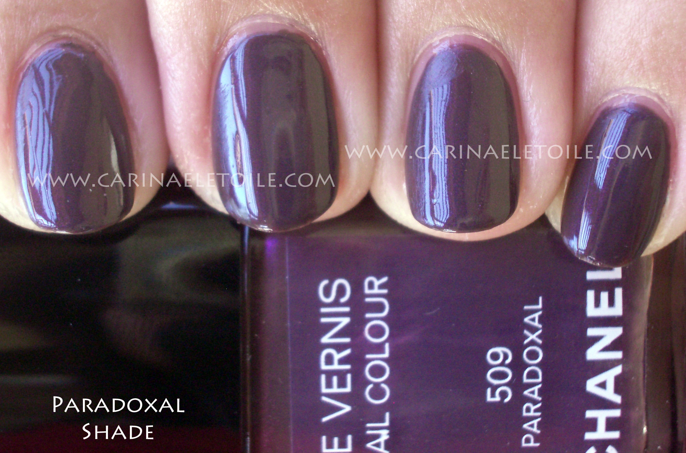 Chanel Paradoxal Shade