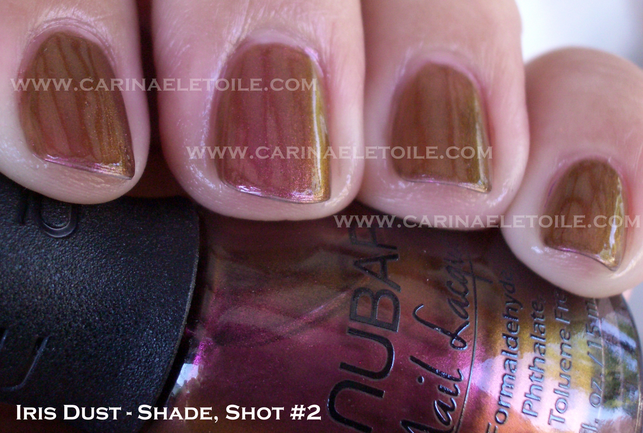 Nubar Iris Dust Shade 2