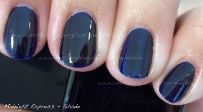 Nars Midnight Express Shade