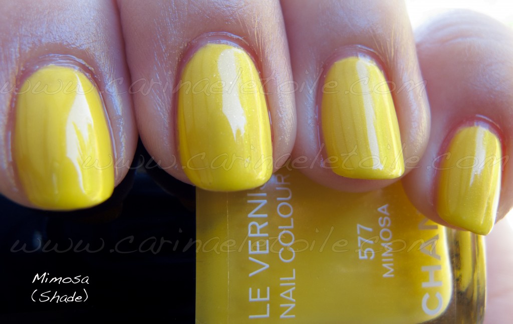 Chanel Mimosa Shade