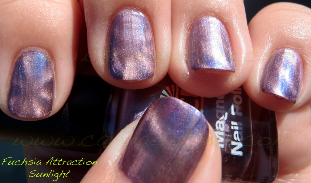LCN Fuchsia Attraction Sunlight