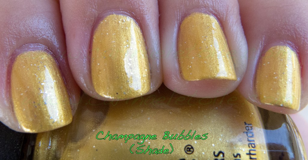 CG Champagne Bubbles Shade