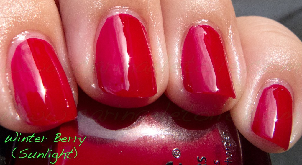 CG Winter Berry Sunlight